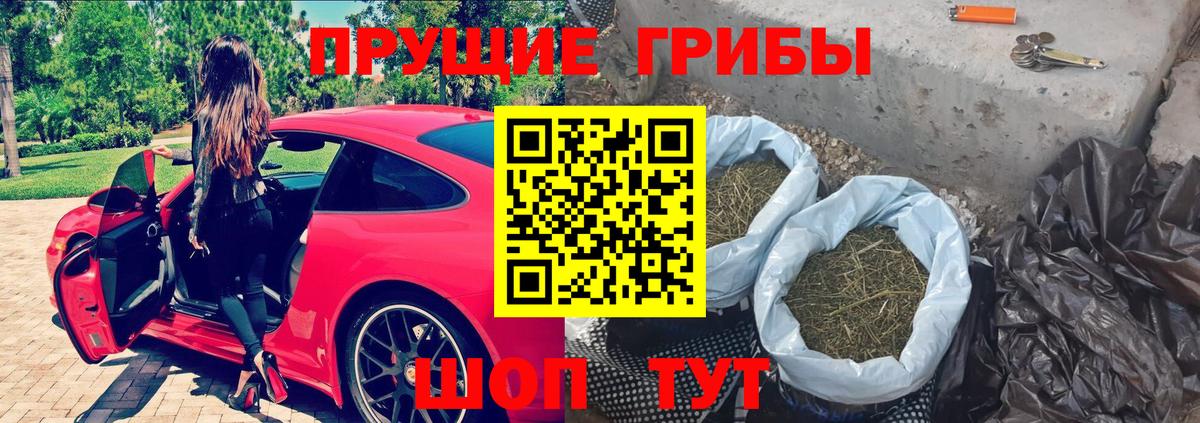 Псилоцибиновые грибы прущие грибы Советск