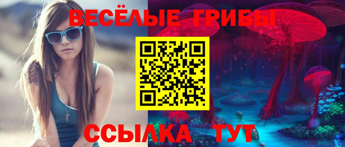Советск  Псилоцибиновые грибы Magic Shrooms  Галлюциногенные грибы Magic Shrooms  Вход с VPN 